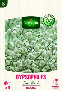 Gypsophiles Brouillard Blanc (x5)